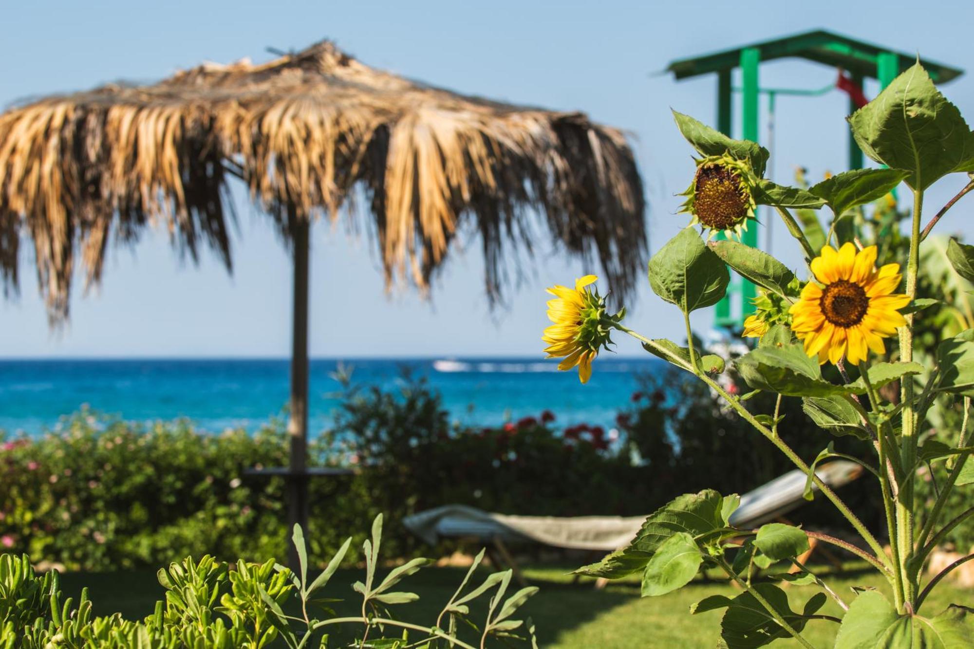Garden Studios Alykes  Dış mekan fotoğraf
